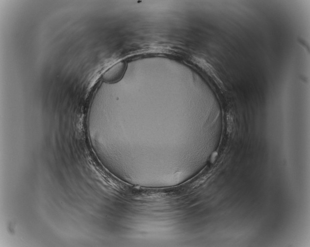 X0000100761260200807101719