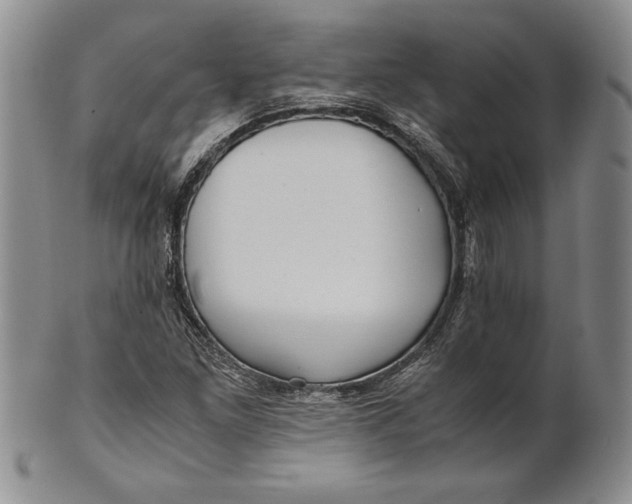 X0000100761261200807101719