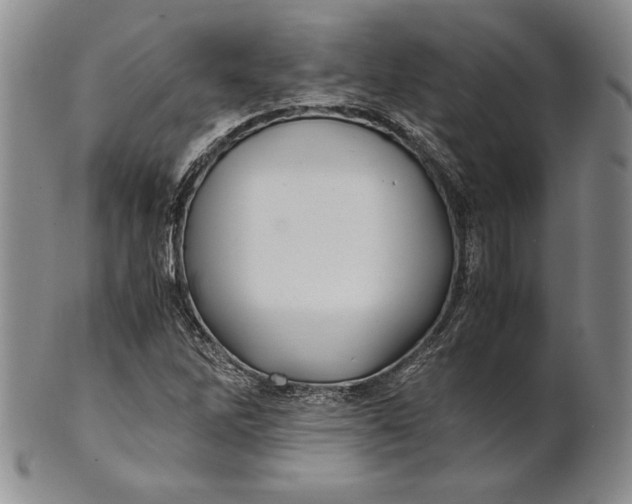 X0000100761262200807101719