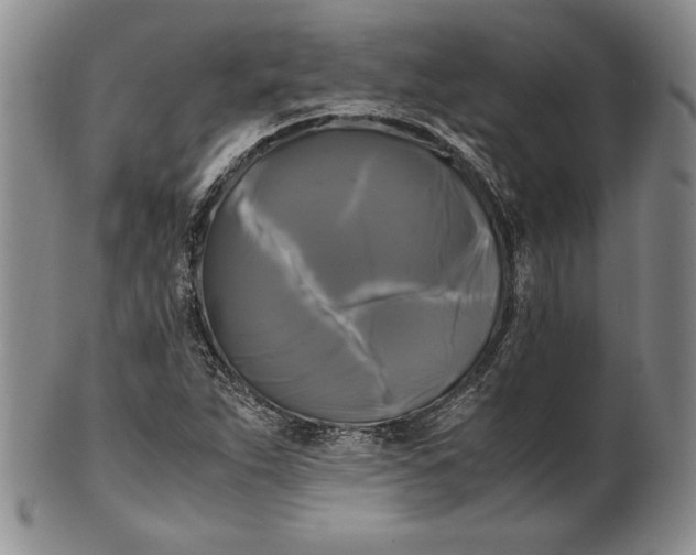 X0000100761263200807101719