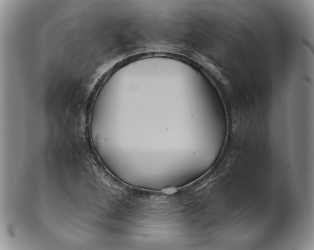 X0000100761264200807101719