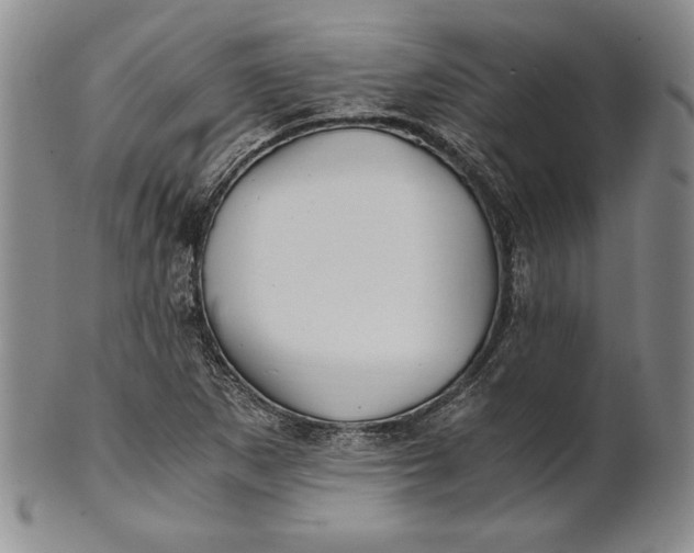 X0000100761265200807101719