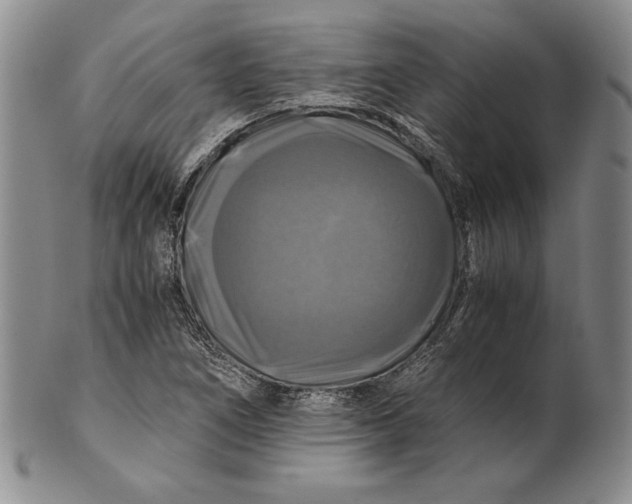 X0000100761266200807101719