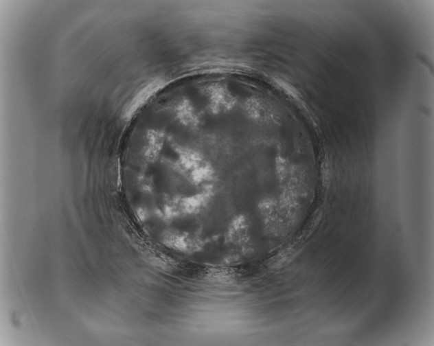 X0000100761267200807101719