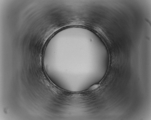 X0000100761268200807101719