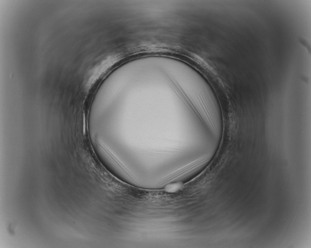 X0000100761269200807101719