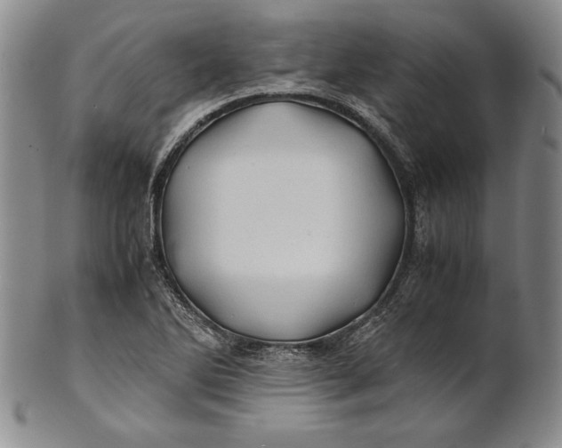 X0000100761270200807101719