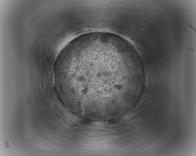 X0000100761271200807101719