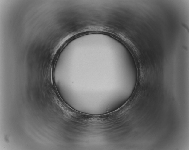 X0000100761272200807101719