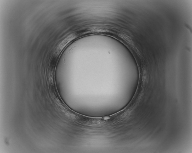 X0000100761273200807101719