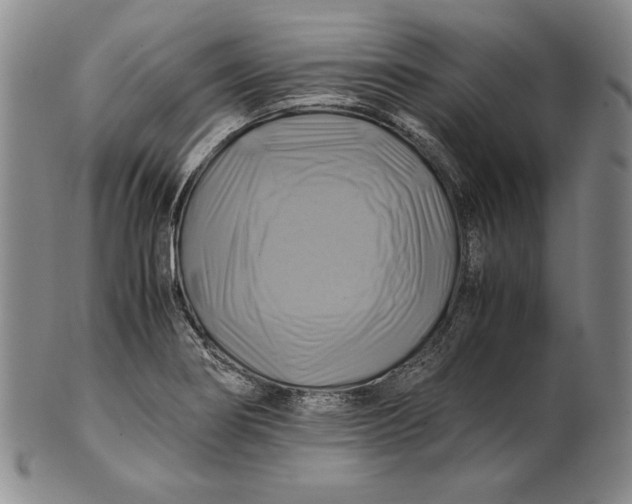 X0000100761274200807101719