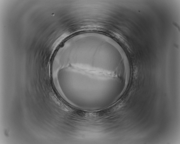 X0000100761275200807101719