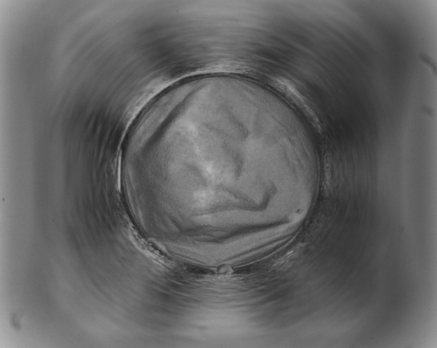 X0000100761276200807101719