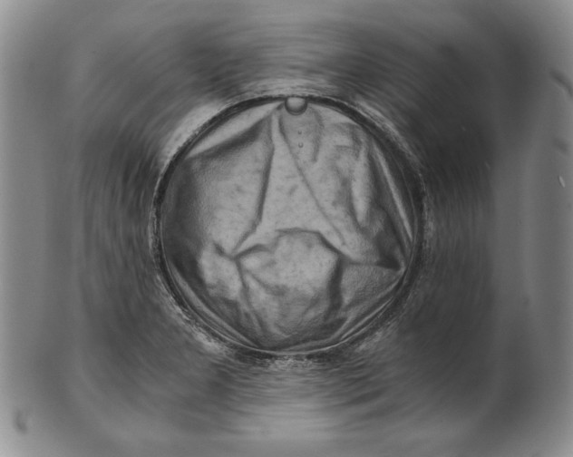 X0000100761277200807101719