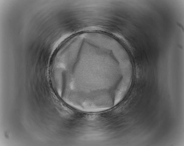 X0000100761278200807101719