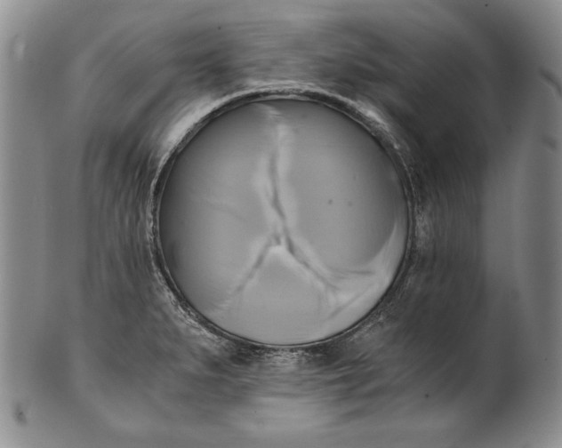 X0000100761279200807101719