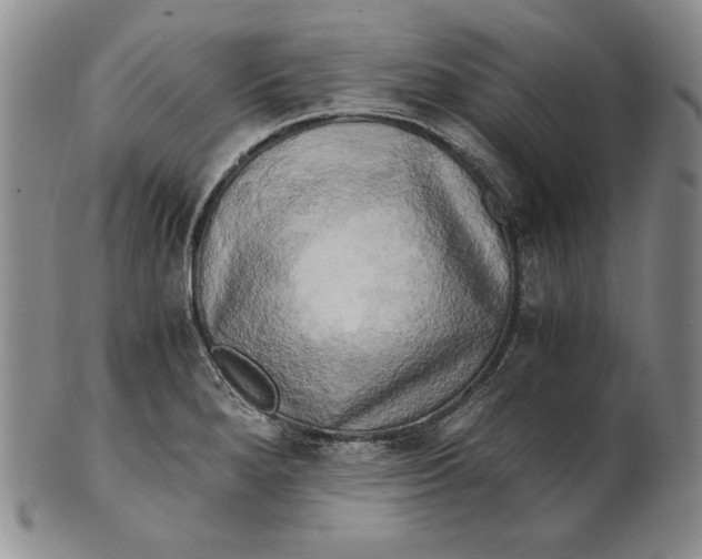 X0000100761280200807101719