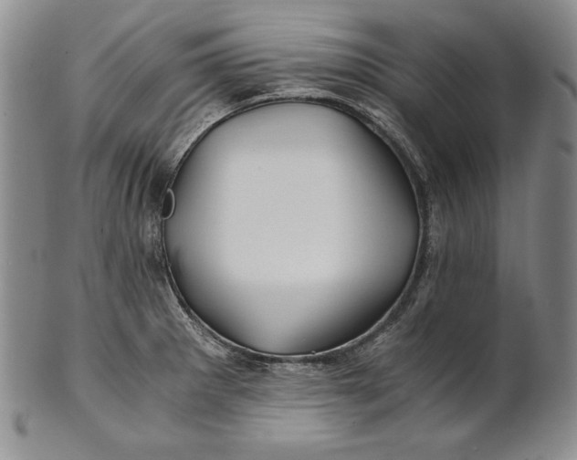 X0000100761281200807101719