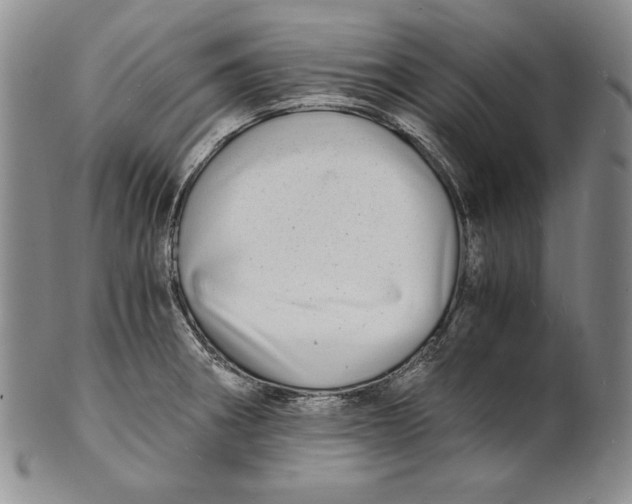 X0000100761282200807101718