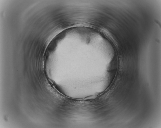 X0000100761284200807101718