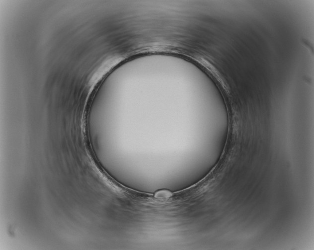 X0000100761285200807101718