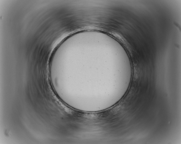 X0000100761286200807101718