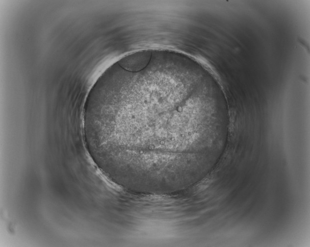 X0000100761287200807101718