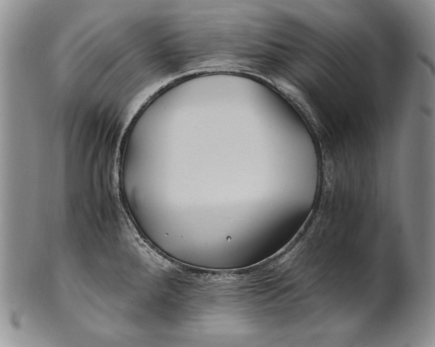 X0000100761288200807101718