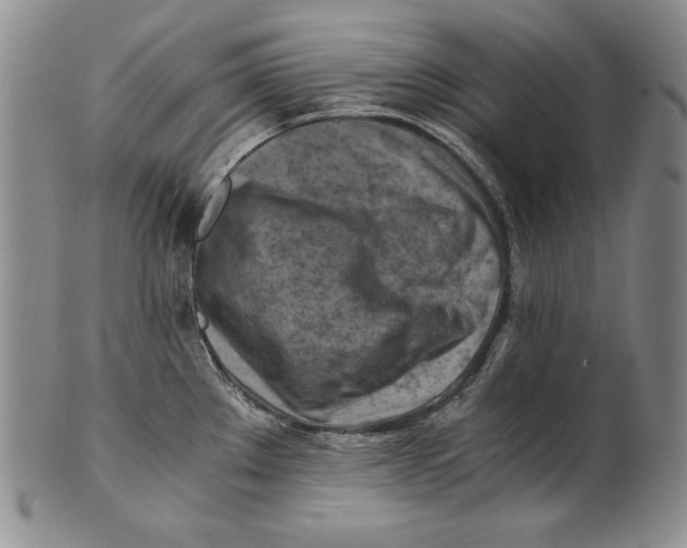 X0000100761289200807101718