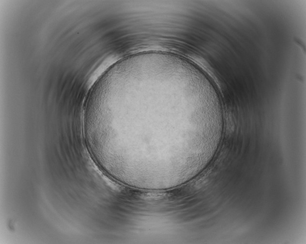 X0000100761290200807101718