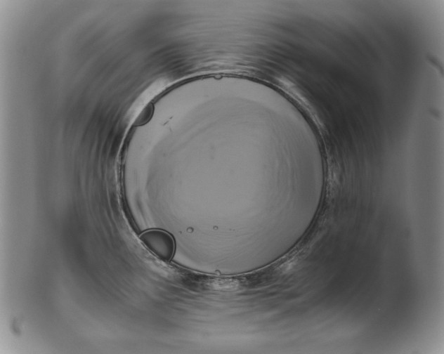 X0000100761291200807101718