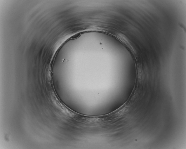 X0000100761292200807101718