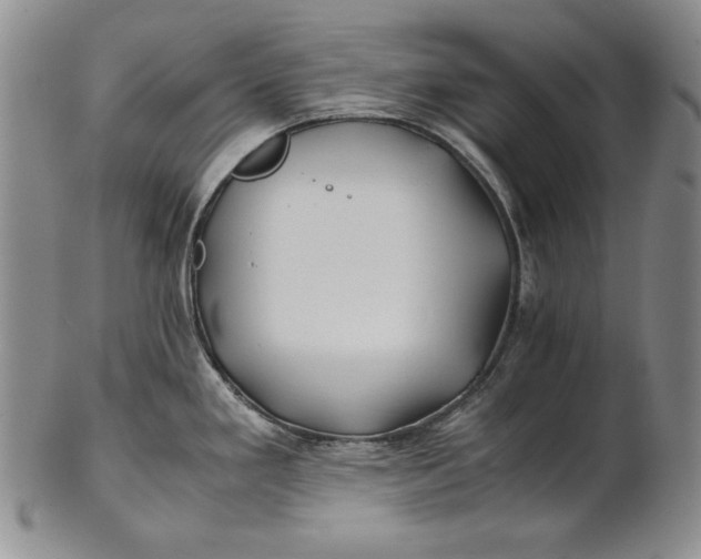 X0000100761293200807101718