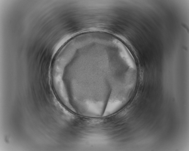 X0000100761294200807101718