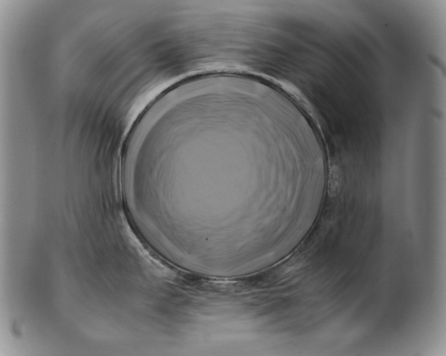 X0000100761295200807101718