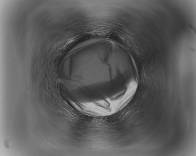 X0000100761297200807101718