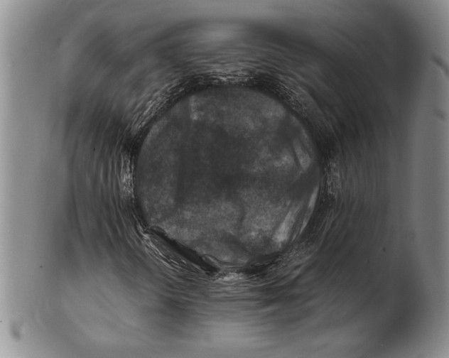 X0000100761298200807101718