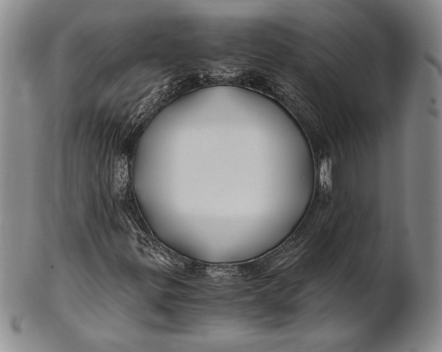 X0000100761299200807101718