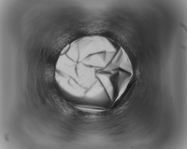 X0000100761300200807101718