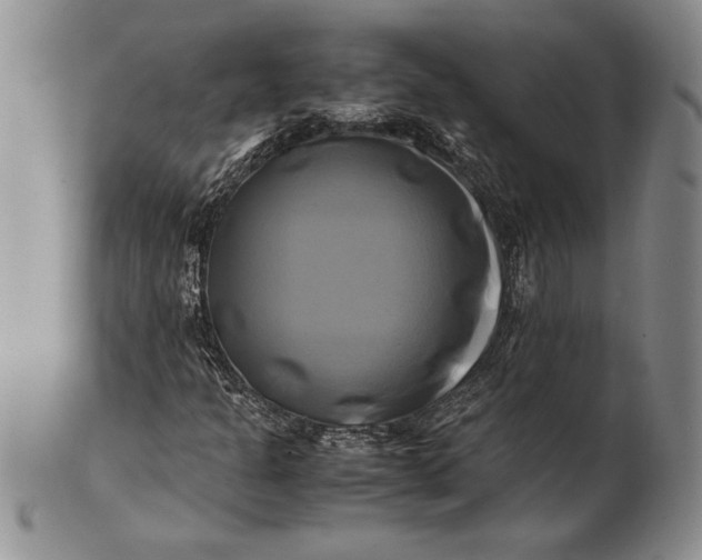 X0000100761301200807101718