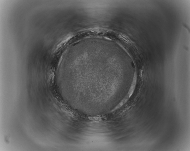 X0000100761302200807101718