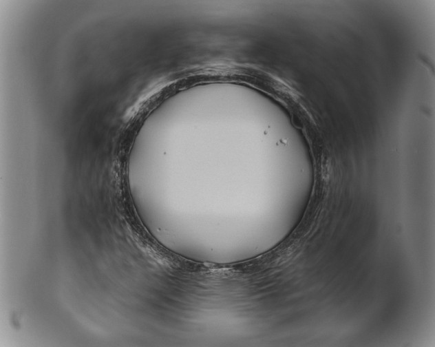 X0000100761304200807101718