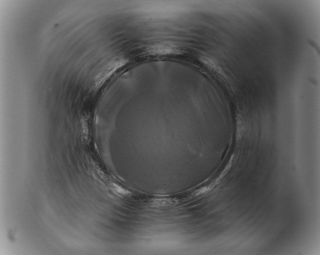 X0000100761305200807101718