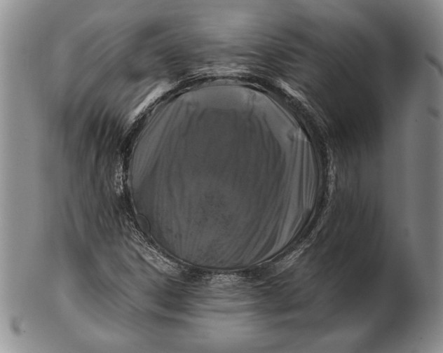 X0000100761306200807101718