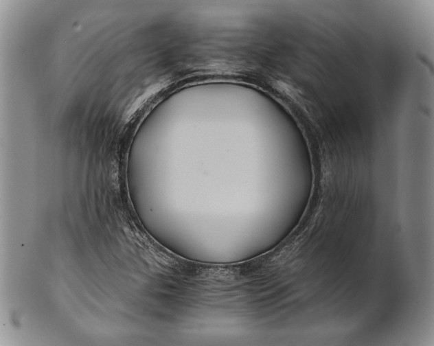 X0000100761307200807101718