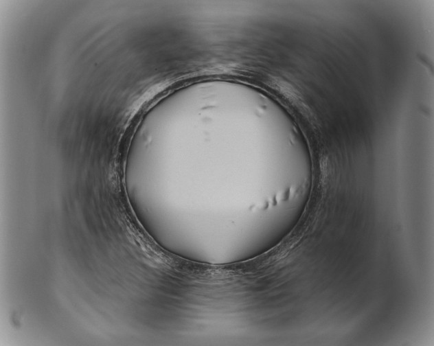 X0000100761308200807101718