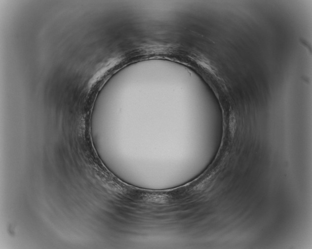 X0000100761309200807101718