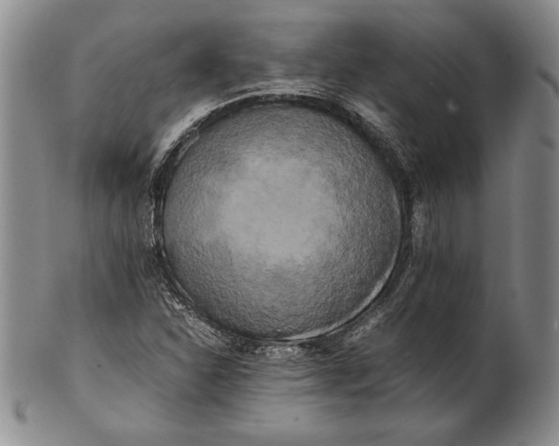 X0000100761310200807101718