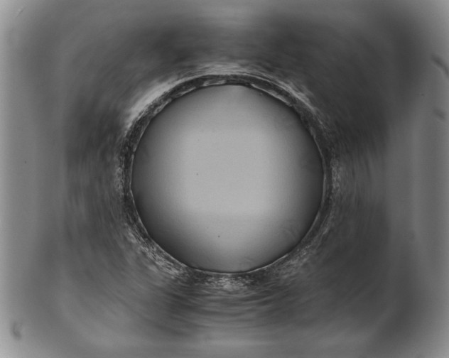 X0000100761311200807101718