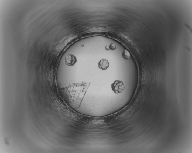 X0000100761313200807101718